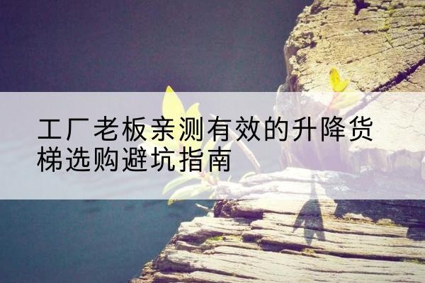 界首升降货梯怎么选-工厂老板亲测有效的升降货梯选购避坑指南