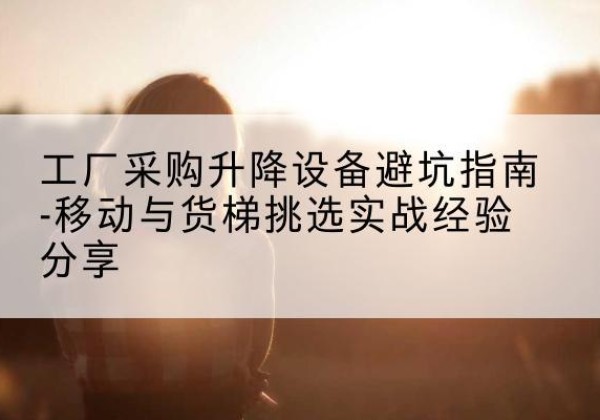 界首移动式升降机怎么选-工厂采购升降设备避坑指南-移动与货梯挑选实战经验分享