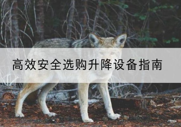 界首升降货梯厂家推荐-*安全选购升降设备指南