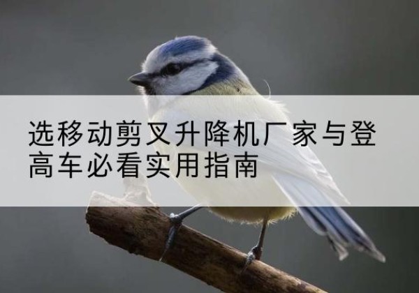 界首电动升降机厂家-选移动剪叉升降机厂家与登高车必看实用指南