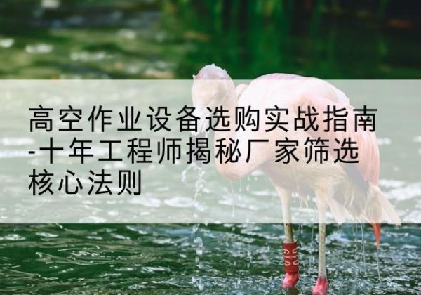 界首剪叉式升降机厂家-高空作业设备选购实战指南-十年工程师揭秘厂家筛选核心法则