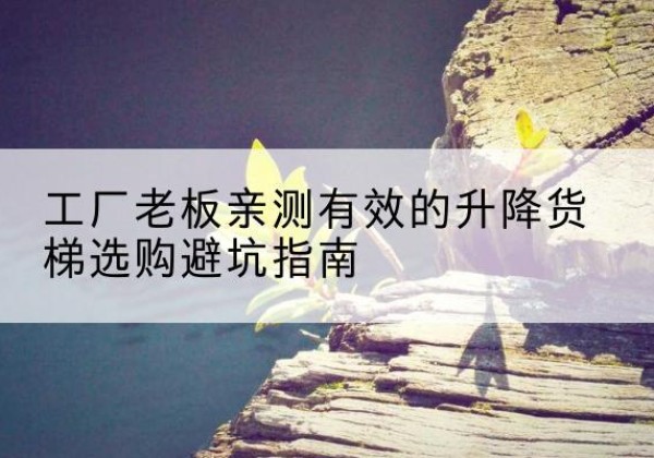 界首升降货梯怎么选-工厂老板亲测有效的升降货梯选购避坑指南